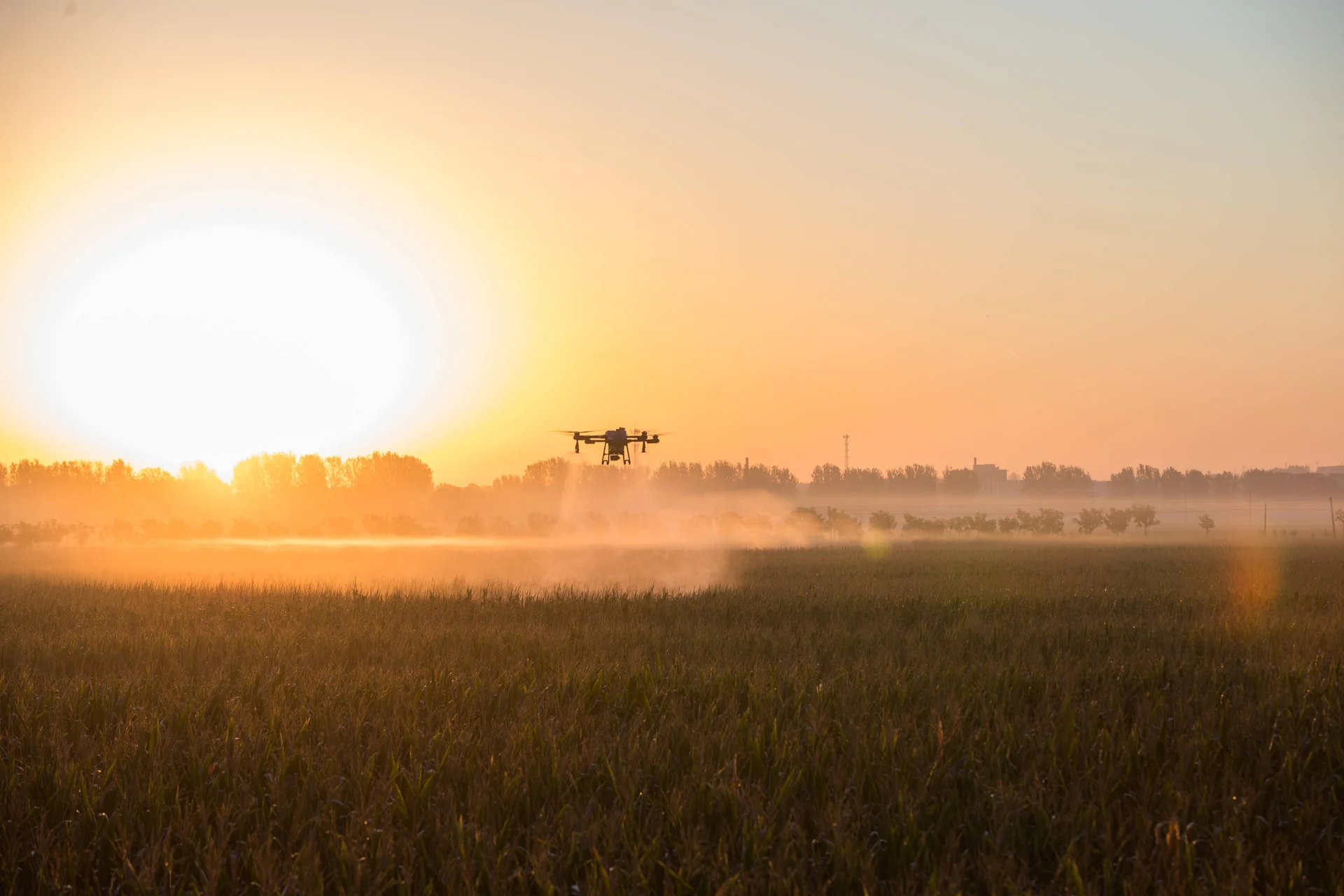 DJI AGRAS T25 - Imagen 2